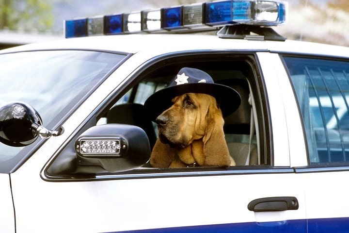 Paw Enforcement Officer - 8 x 10 Print