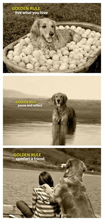 Golden Rule Collection - Three 5 x 7 Prints
