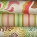Heather Bailey Fabric, Freshcut in Brown and Pink, Full Yard Bundle, 3 Yards Total