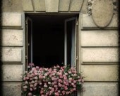 5x5 fine art photograph /// the open window /// paris photo by lesley sico