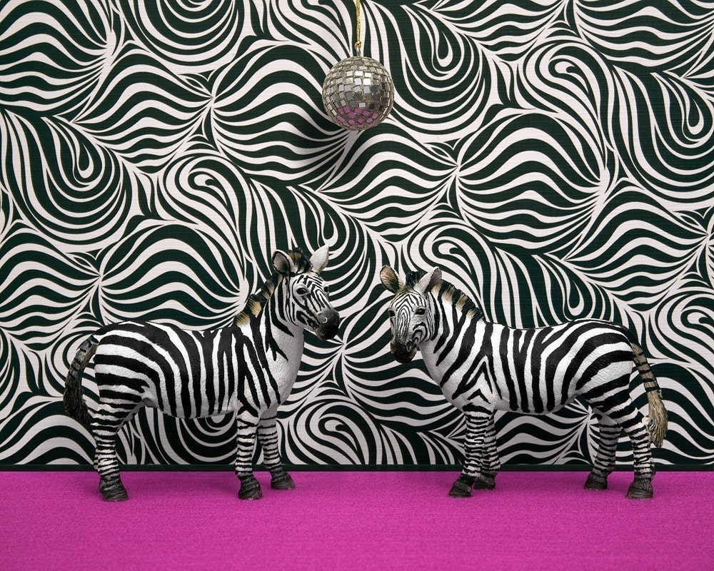zebra print, funky retro 1970s disco, black and white - 1970s Camouflage 8 x 10