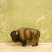 western buffalo, sage green, rustic country decor - Home On The Range 8 x 10