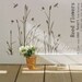 custom for Sandra Steele - Reed flowers -- 39inch tall-- Removalble vinyl wall art decals stickers graphic for home decor