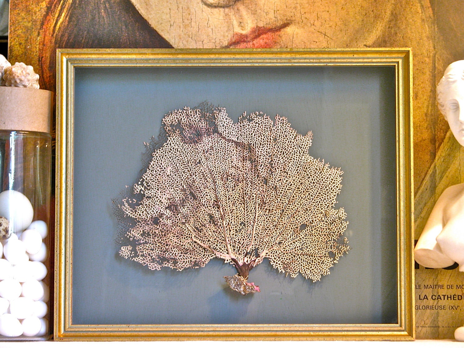 Framed Sea Fan