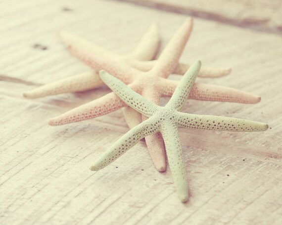 starfish print starfish decor coastal cottage decor pink and mint art coastal decor 8x10 sea star photograph