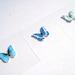 Butterfly Blue Eyeshadow Pigment Winter Eye Decals 3pcs