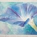 watercolor flower art - Blue Morning Glory - Mother's Day Victorian - giclee print - fine art - pastel blues - 8x10