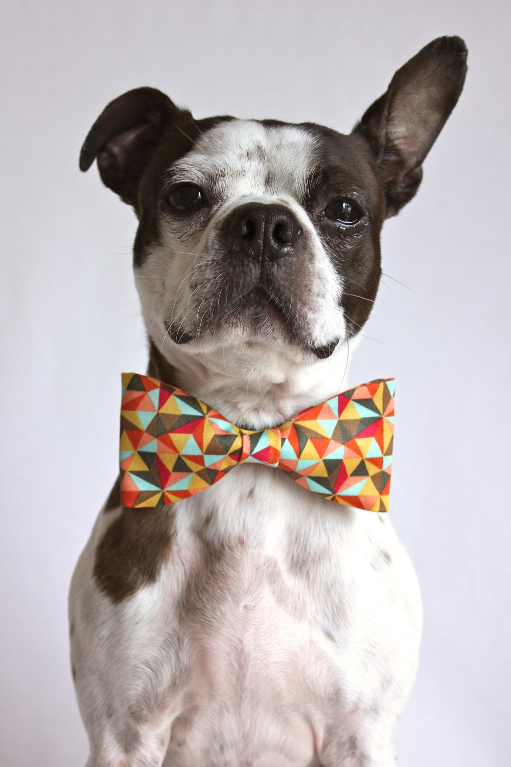 Retro Geometric Dog Bow-tie - Dog Accessories - Photo Prop - littlebluefeather