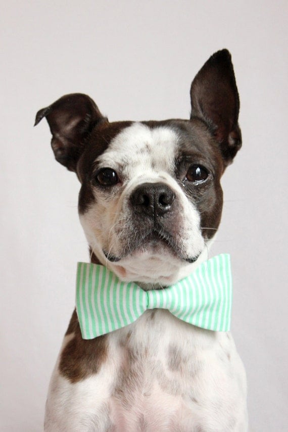 Mint Green and white Striped Dog Bow-tie