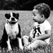 SALE - Boston Terrier Screen Printed Baby Bodysuit