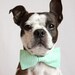 Mint Green and white Striped Dog Bow-tie