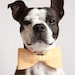 Yellow and white checkered Dog Bow-tie