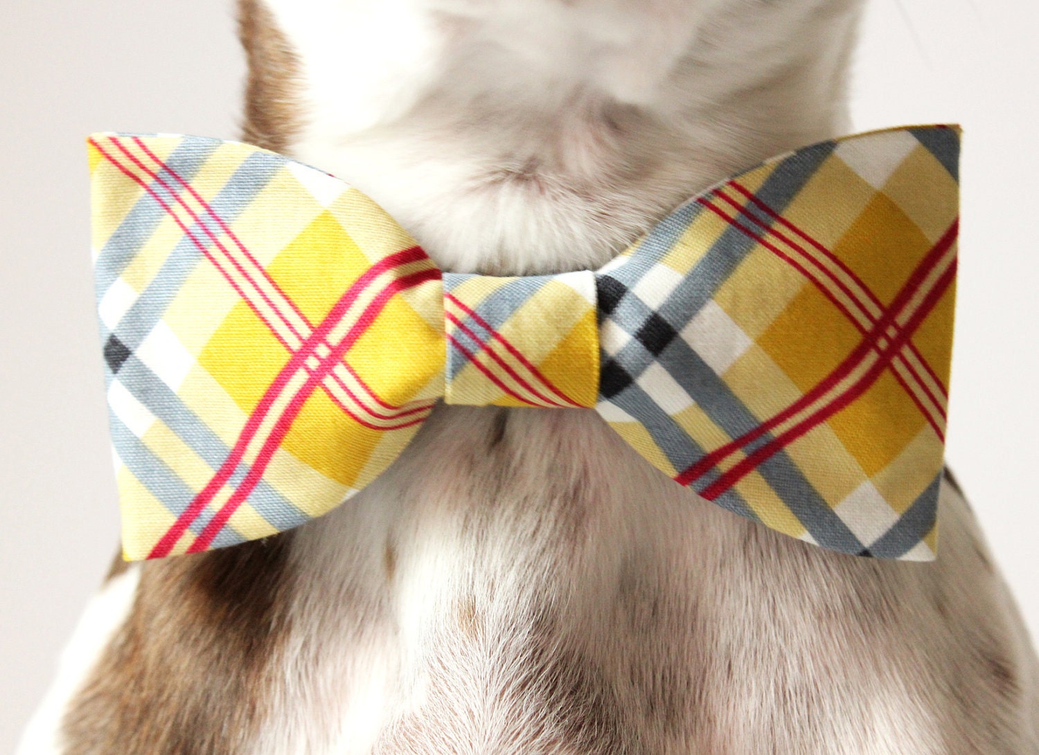 Yellow Plaid Dog Bow-tie - Handmade Dog Accessories - Regular and Large Sizes