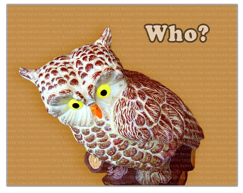Who Owl rhetorical question statue 5x7 photo Free Shipping Global