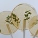 Orange Blossom Thyme - Lollipop - Perfect Mothers Day Gift