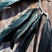 Raven Black Crow Feather Ear Cuff