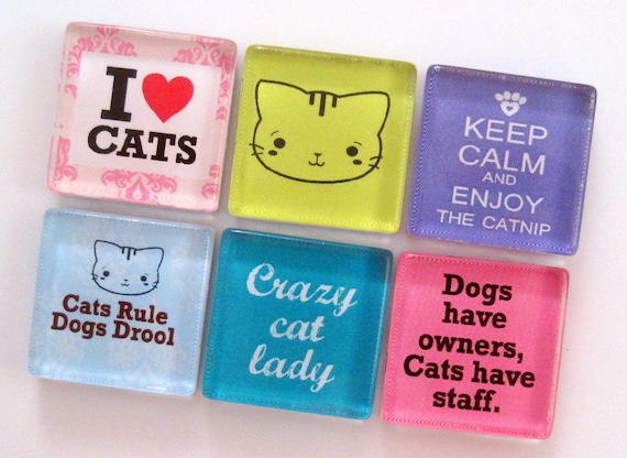 Cat Magnets - Glass Magnets - Set of Six 1 Inch Square Strong Magnets