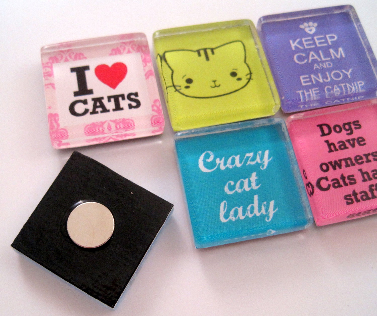 Cat Magnets - Glass Magnets - Set of Six 1 Inch Square Strong Magnets
