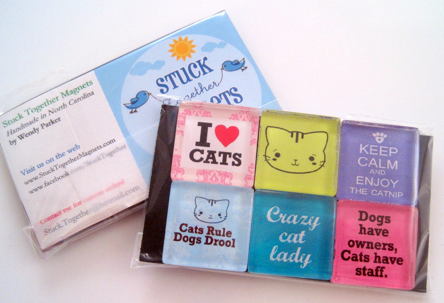 Cat Magnets - Glass Magnets - Set of Six 1 Inch Square Strong Magnets