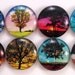 Tree Magnets - Set of Eight Glass Magnets - 1 Inch Strong Magnets
