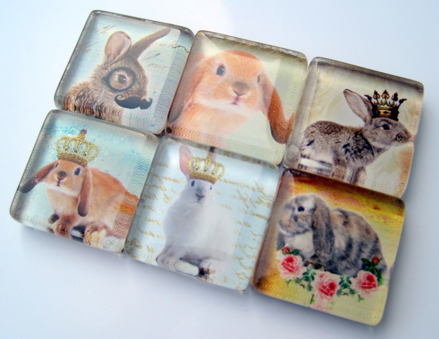 Magnets - Bunnies Rule - Set of Six 1 Inch Square Strong Magnets