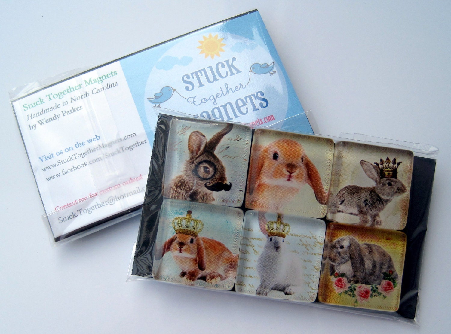 Magnets - Bunnies Rule - Set of Six 1 Inch Square Strong Magnets