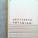 cultivate optimism plaque. MADE TO ORDER