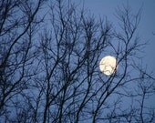 Full Moon 4x6 Fine Art Print