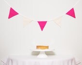 Good Will Bunting Hot Pink and Neutral