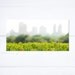 Skyline Photograph of New York