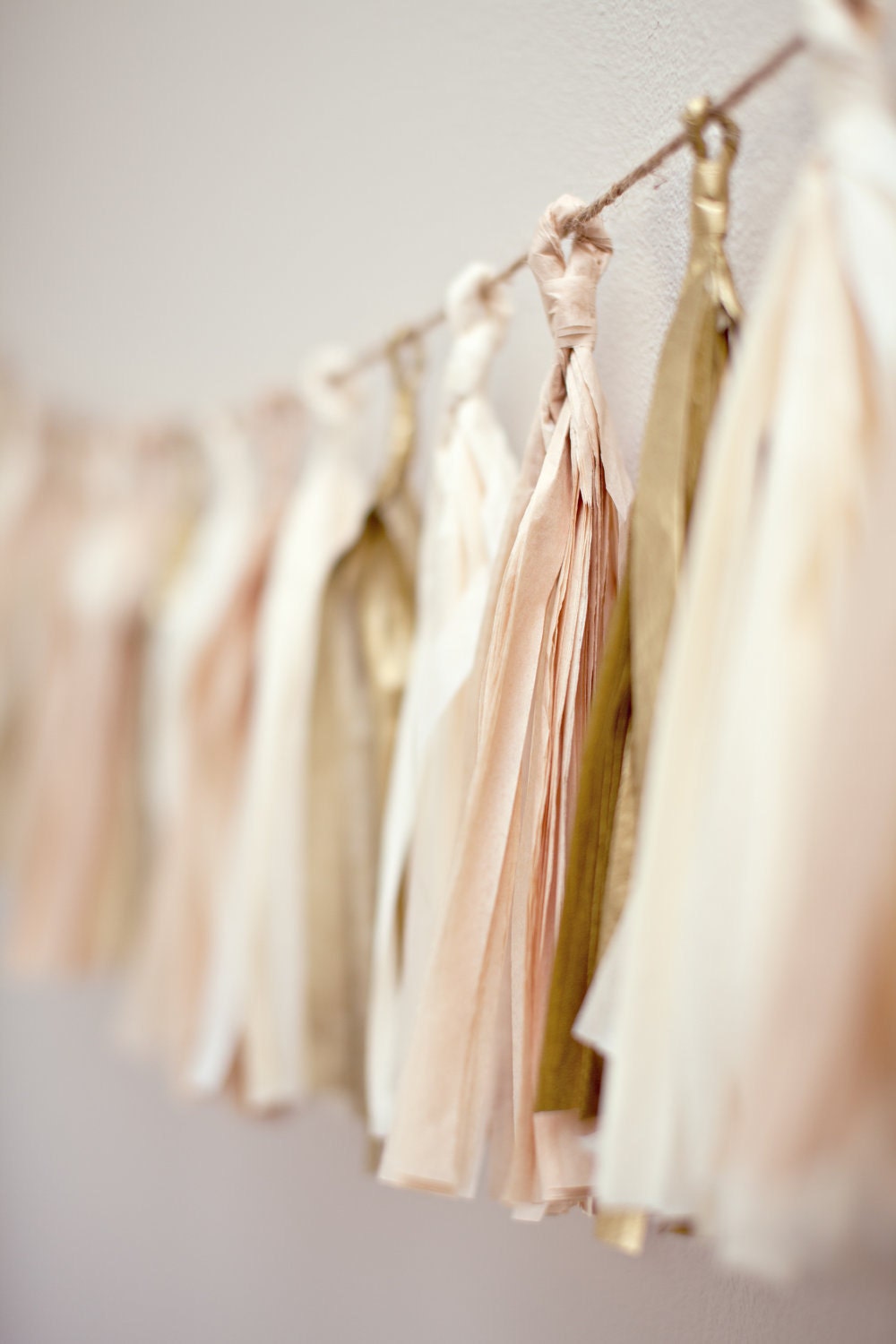 Tassel Party Garland: Blush