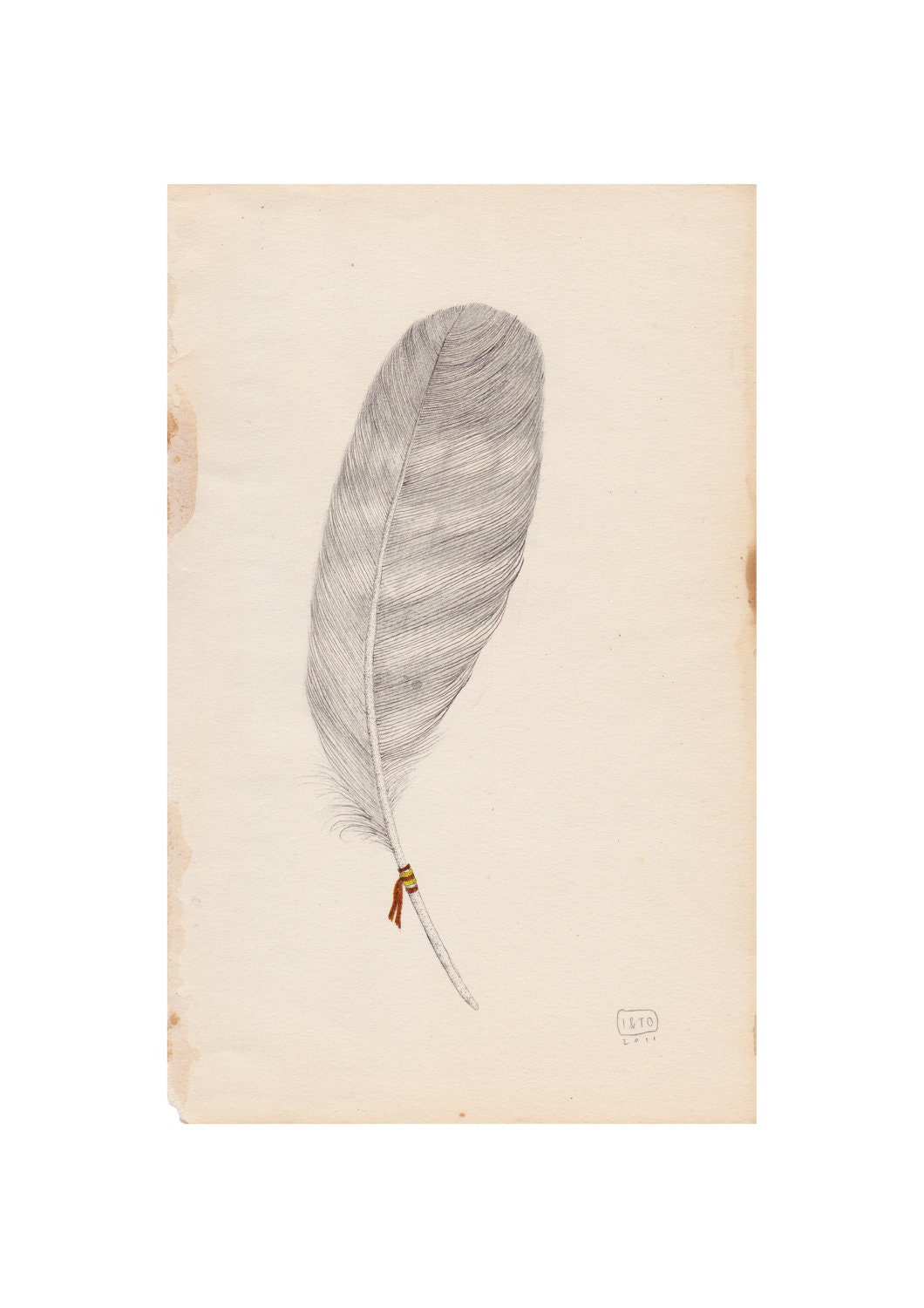 Feather III - A5 Giclee print