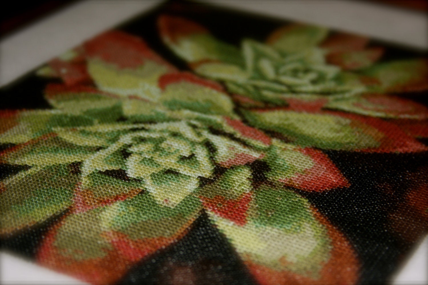 SUCCULENTS - Cross-Stitch PATTERN ONLY