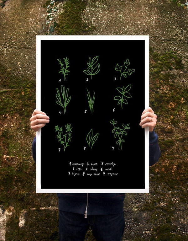 Botanical Chart Herbs Poster print  20"x27" - archival fine art giclée print