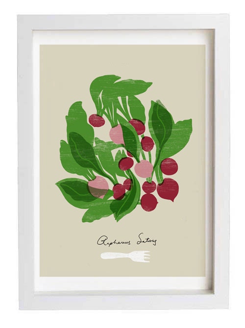 Radish Kitchen Art - Food illustration - Botanical Vegetable Decor - 11"x15" - archival fine art giclée print