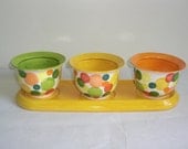 4 Piece Ceramic Herb Planter Flower Pot in Bright Spring Colored Polka Dots