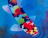 KOI  5X7 PRINT