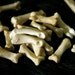x10 Medium Bobcat Toe Bones - Real Bone, Taxidermy, R3792 - Grade A