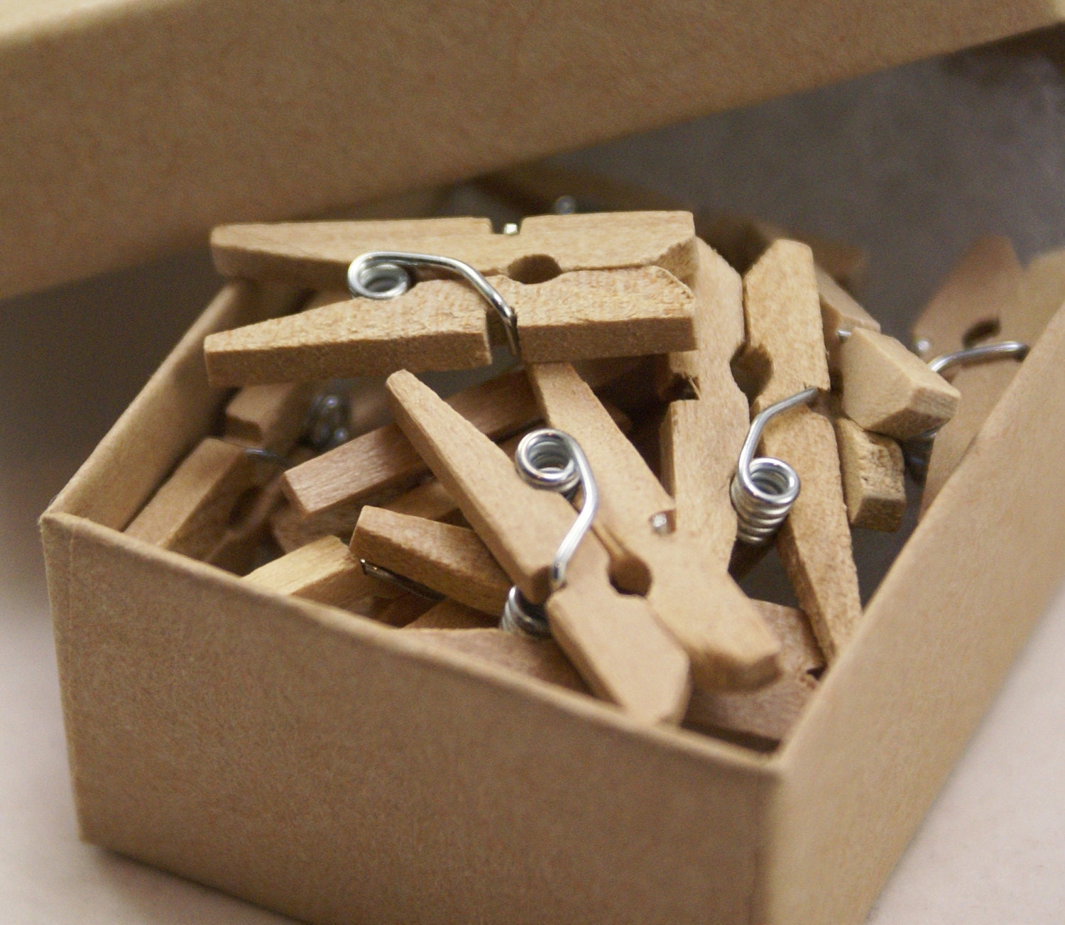 HAND STAMPED floral damask Jewelry box with 24 ultra mini HiGH QUALITY 1 inch wooden clothespins - plain and unfinished