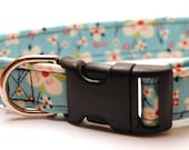 Retro Light Blue with Pink Cherry Blossoms Medium Dog Collar