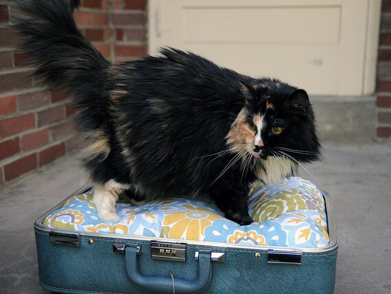 SALE - Vintage Suitcase Pet Bed - Light Blue with Green Yellow Retro Floral Print Custom Cushion - Cats and Small Dogs