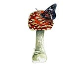 Mushroom Watercolor - Not a Flower, but just as pretty - Original Watercolour - Nightly Study - jodyvanB