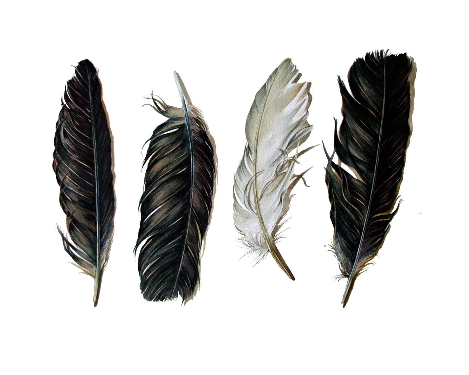 Spirit Feathers - Archival Print of the Watercolor Painting of Crow Feathers