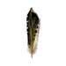 Northern Flicker Woodpecker Feather - Original Watercolor Feather Study - 359