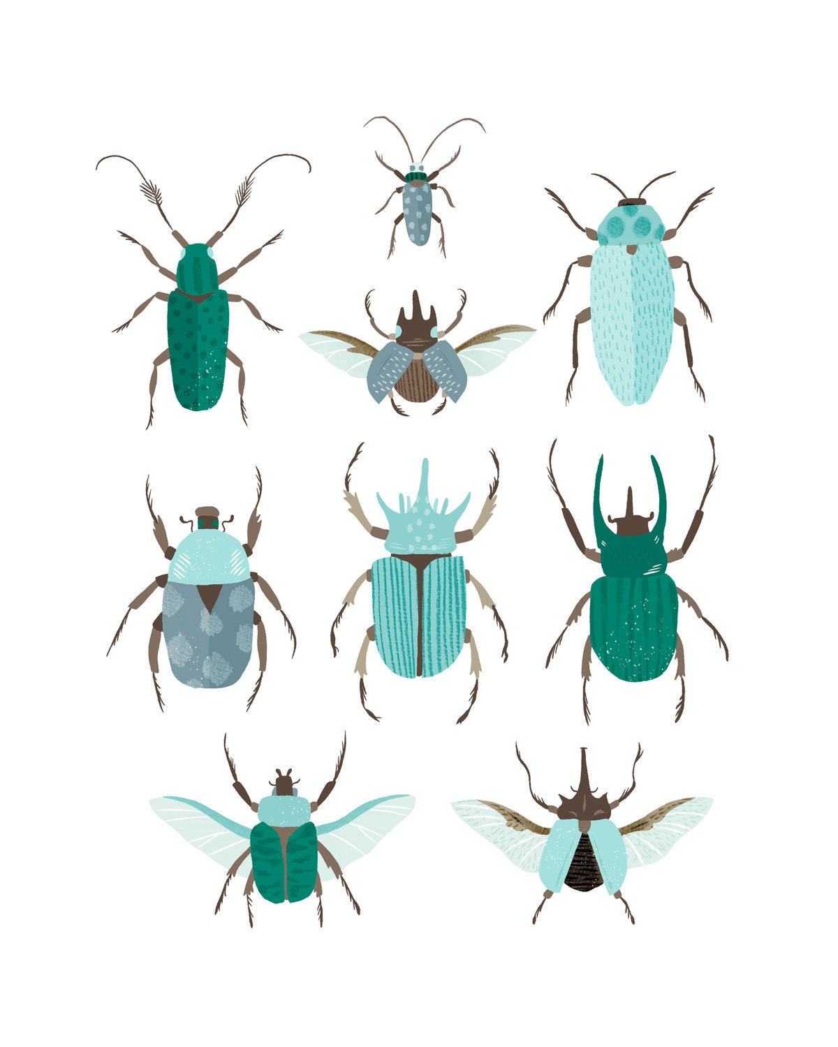 Art Print - Beetle Identification Chart (Blue)