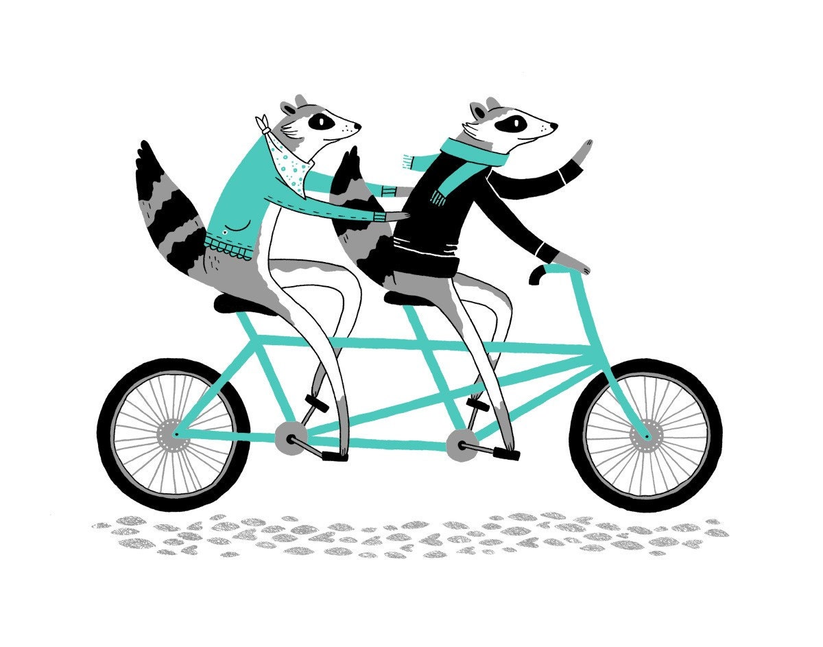 Raccoon Screen Print