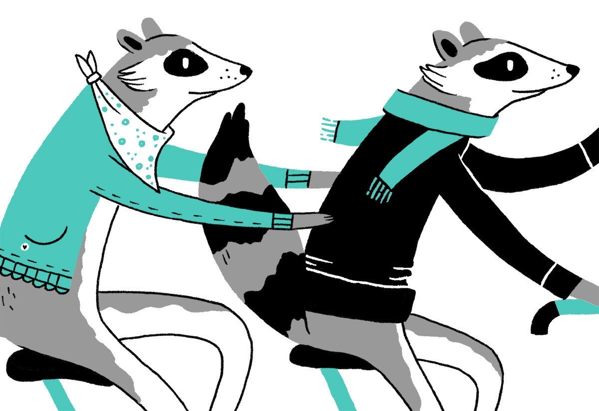 Raccoon Screen Print