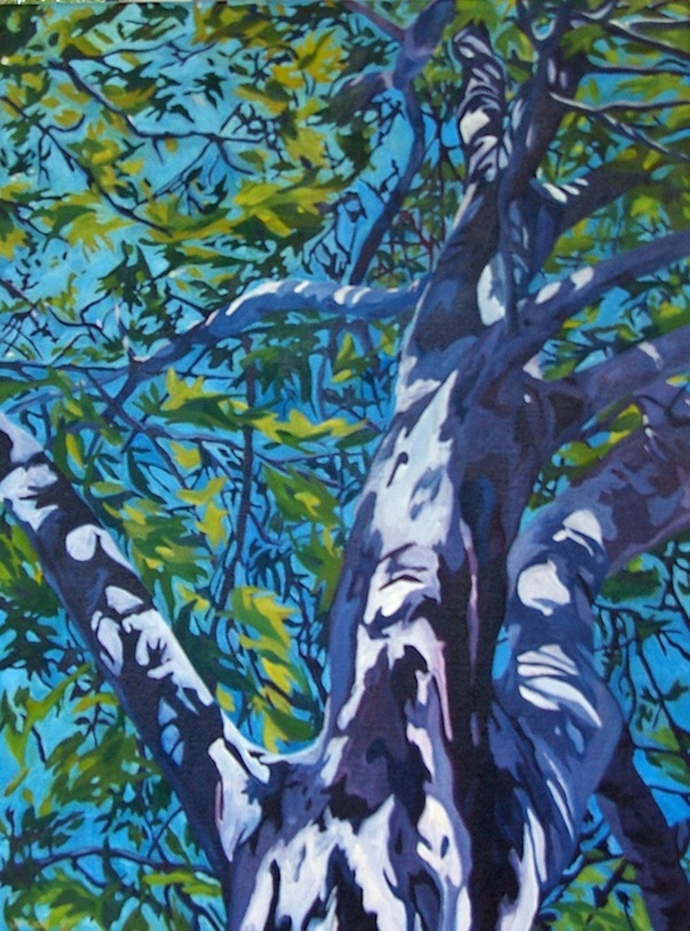California Sycamore Fine Art Landscape Painting