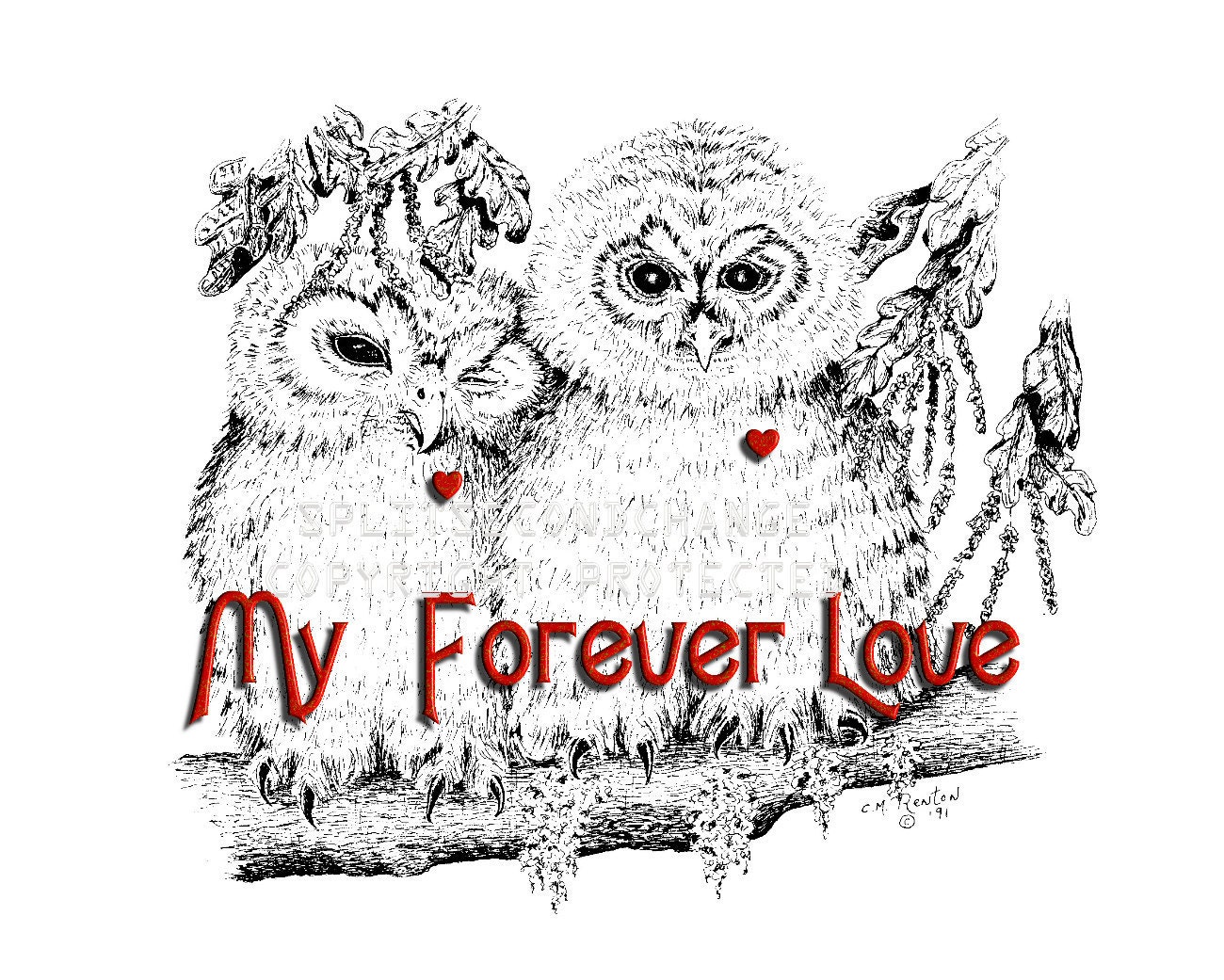 MY HEART My Forever Love  -  Owl Mates - Free Ship to USA