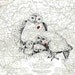 Love and Devotion ,Owl Family , 1837 Map of Pennsylvania , Print Pen and Ink Original Art Sketch